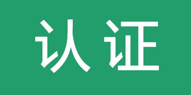 SEO蜘蛛池